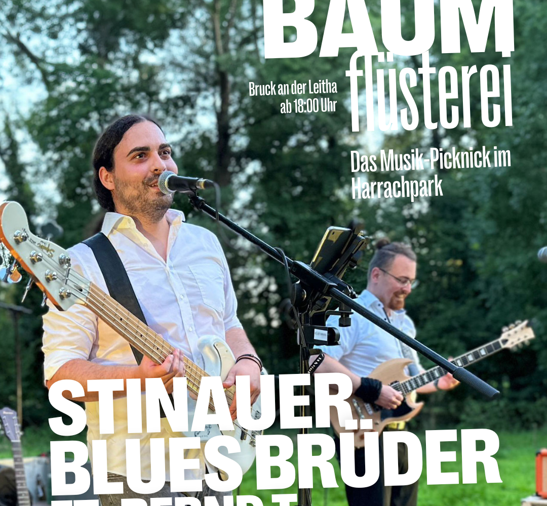 Die Stinauer Blues Brüder feat. Bernd T.