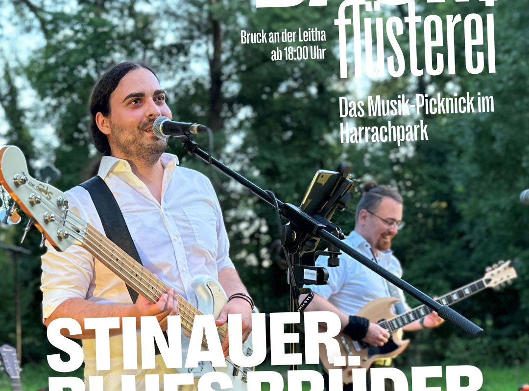 Die Stinauer Blues Brüder feat. Bernd T.