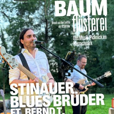 Die Stinauer Blues Brüder feat. Bernd T.