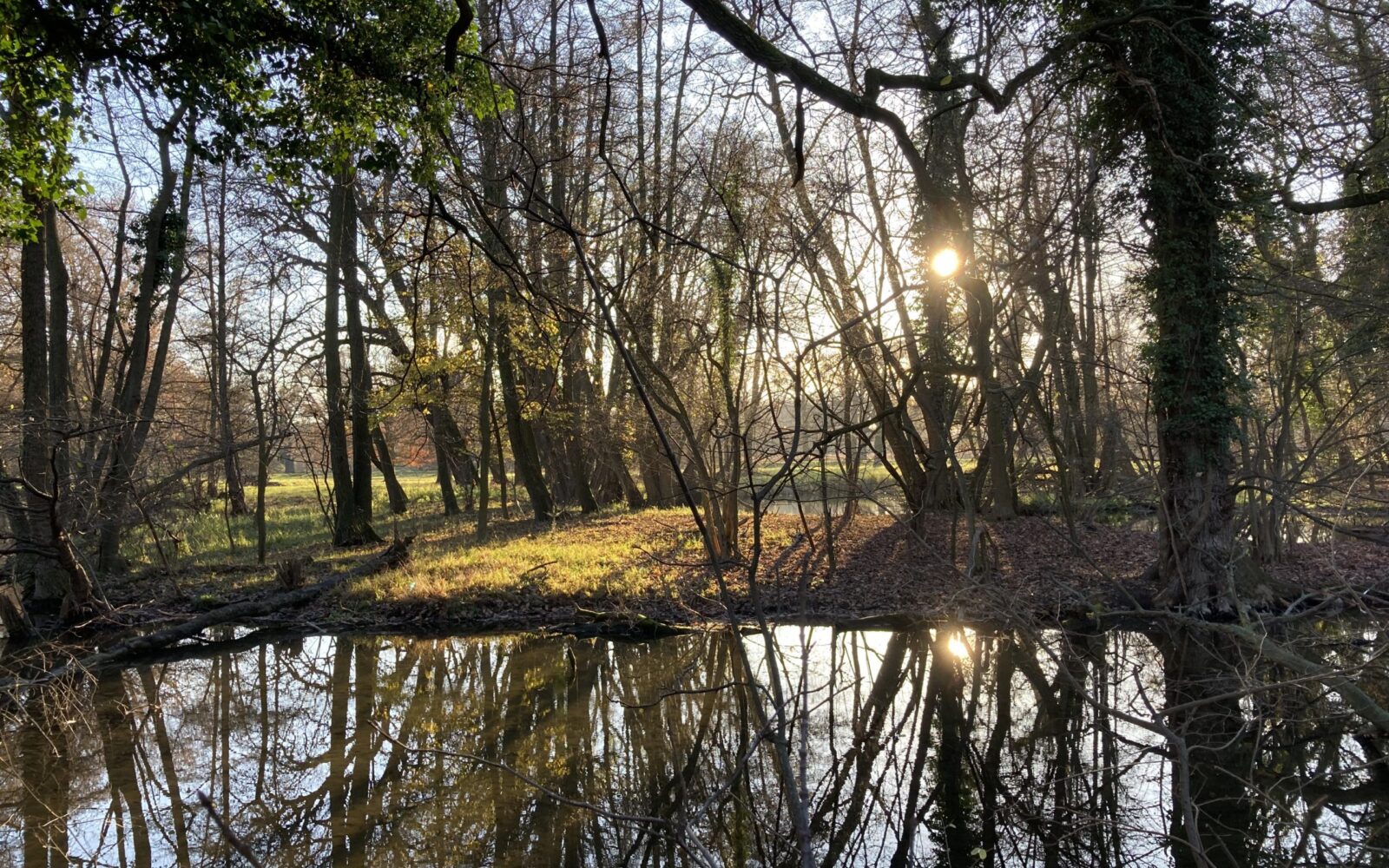 Harrachpark